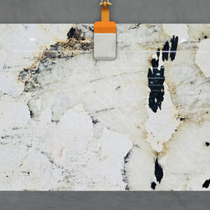 Patagonia Extra --->Coming Mid March